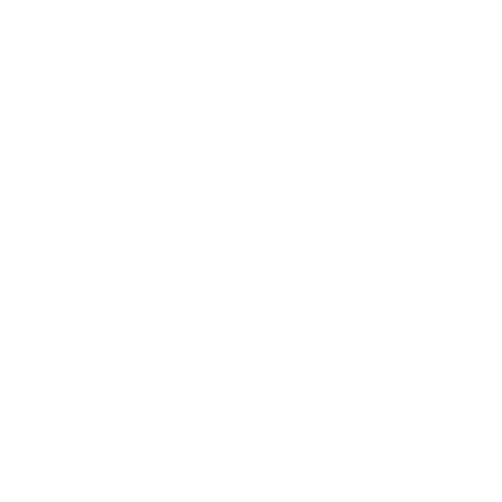 BN Logo